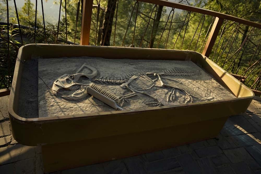Dino Valley: The Amazing Show